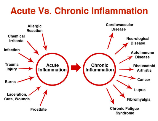 Juicing and Mental Clarity: Reducing Brain Inflammation and Slowing the Aging Process