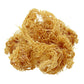 Gold Sea Moss (Genus Gracilaria) (Raw)