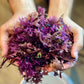 Purple Irish Sea Moss (Raw)